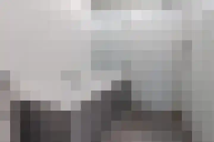 Sijsjespeer 16 Boskoop thumbnail 5