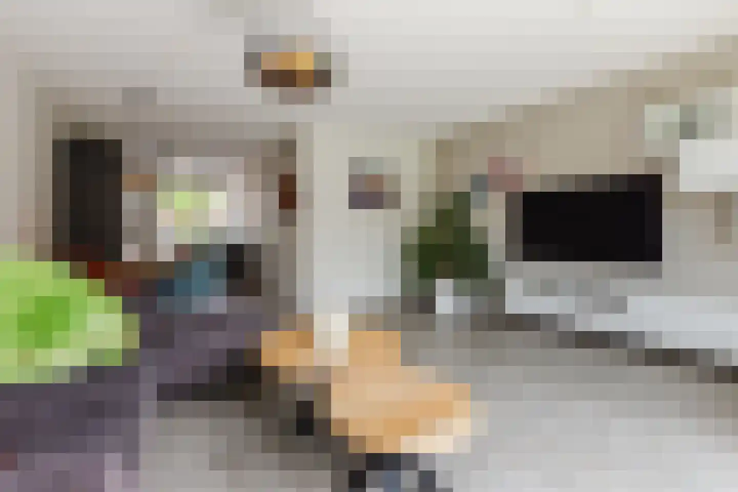 Sijsjespeer 18 Boskoop thumbnail 11