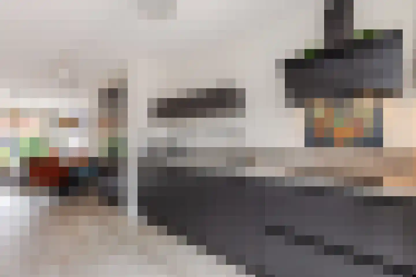 Sijsjespeer 18 Boskoop thumbnail 13