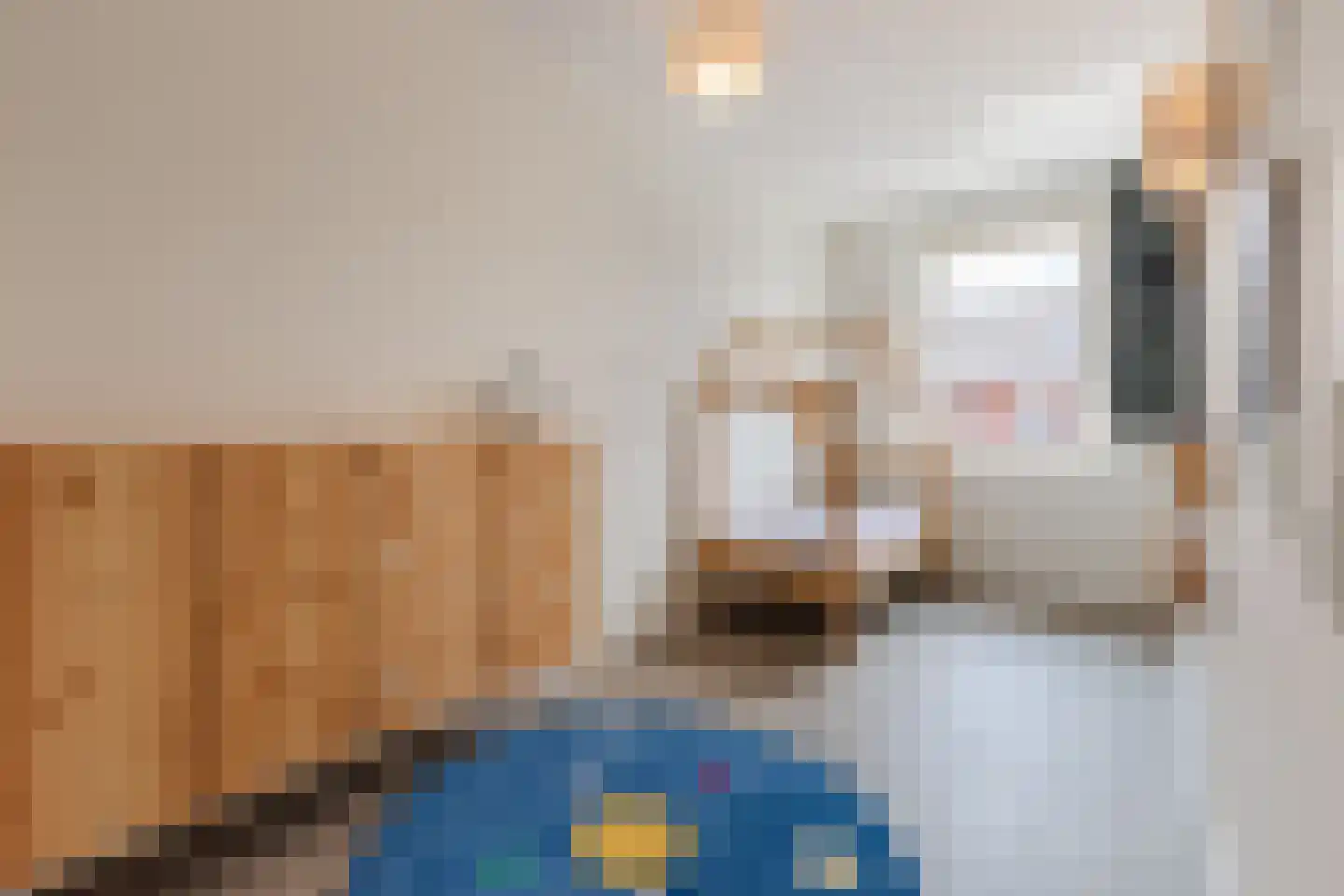 Sijsjespeer 18 Boskoop thumbnail 18
