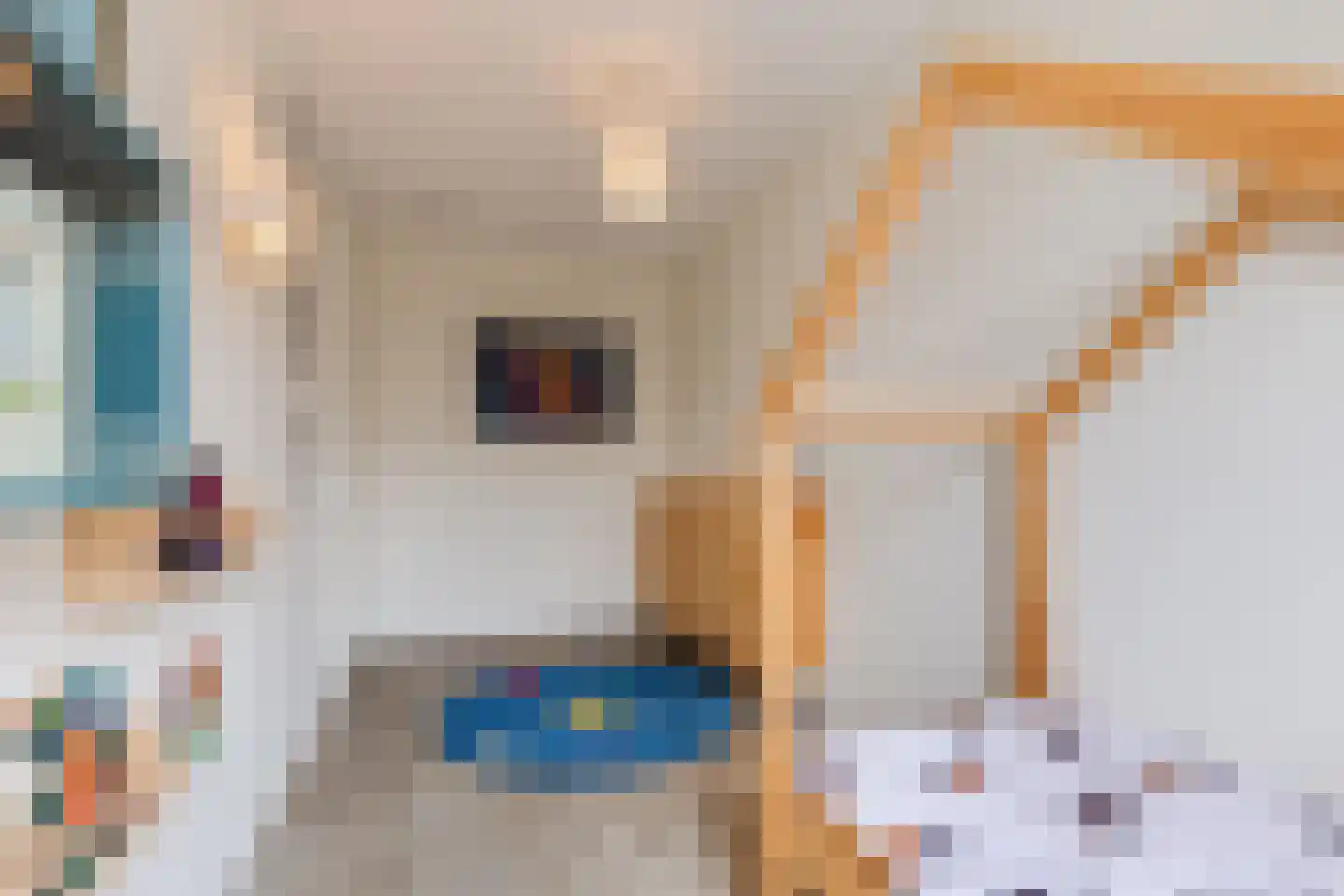 Sijsjespeer 18 Boskoop thumbnail 19