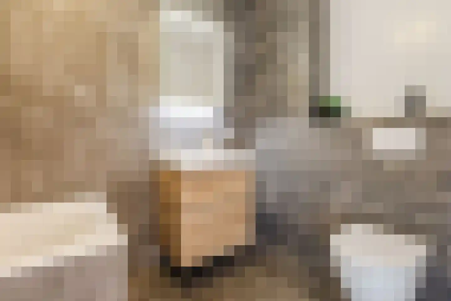 Sijsjespeer 18 Boskoop thumbnail 25