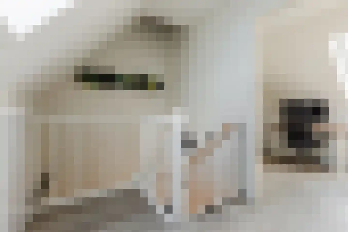 Sijsjespeer 18 Boskoop thumbnail 27
