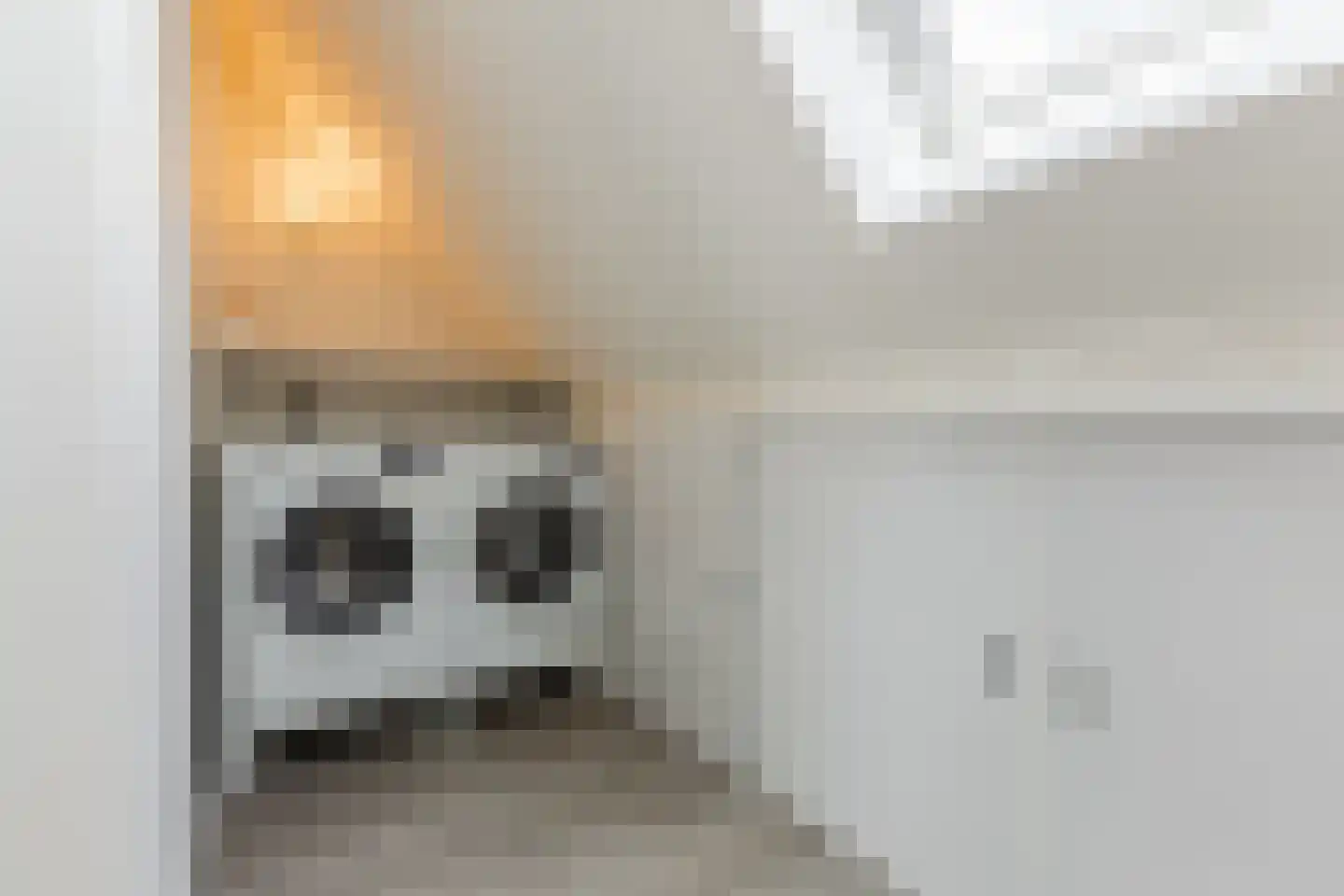 Sijsjespeer 18 Boskoop thumbnail 28