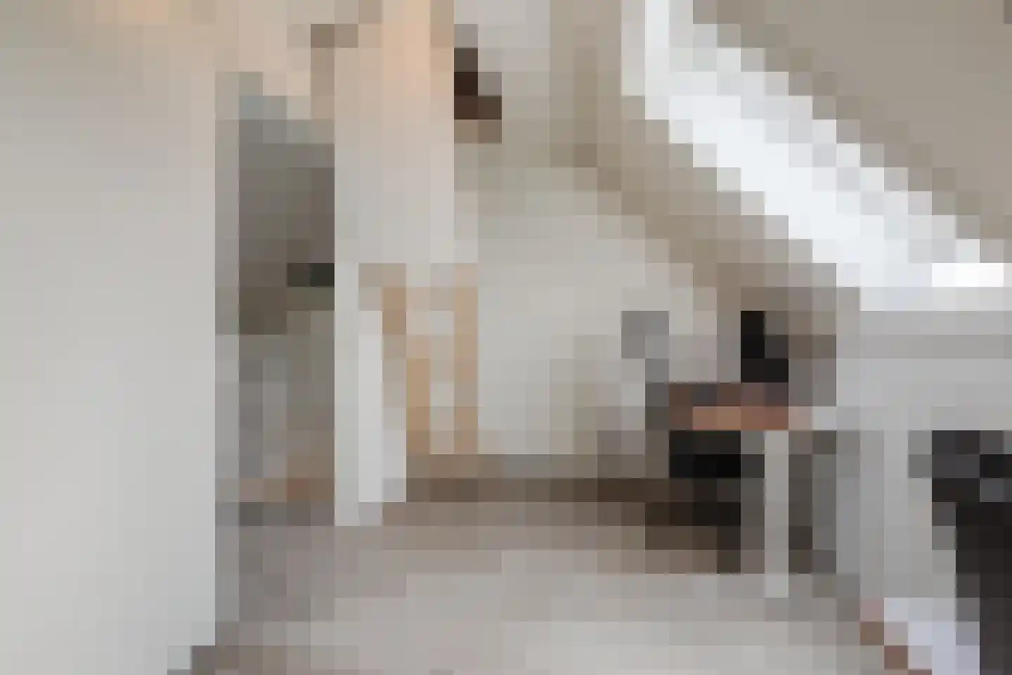 Sijsjespeer 18 Boskoop thumbnail 29