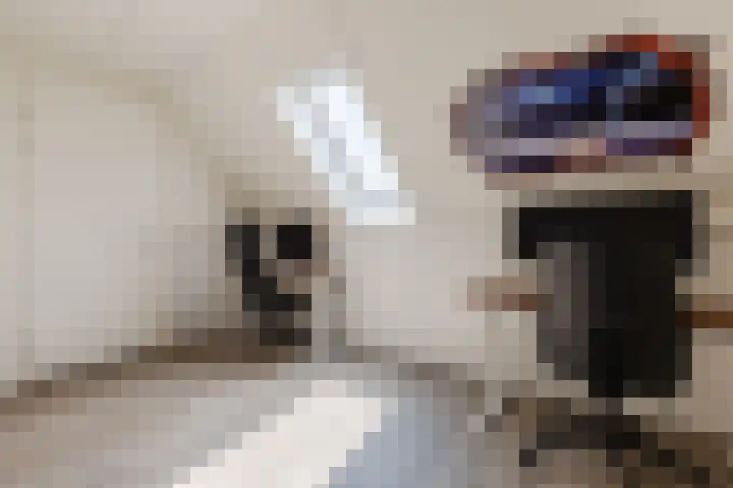 Sijsjespeer 18 Boskoop thumbnail 30