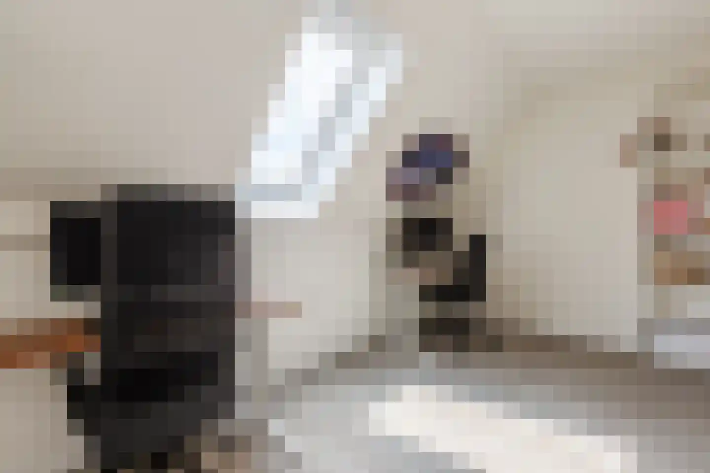 Sijsjespeer 18 Boskoop thumbnail 31