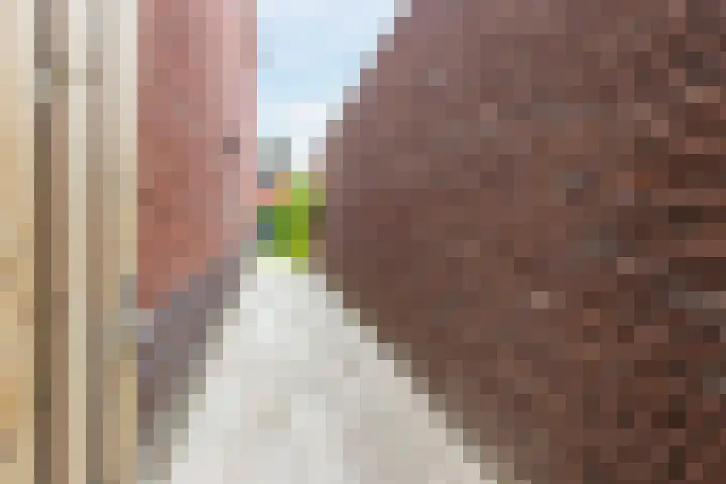 Sijsjespeer 18 Boskoop thumbnail 43