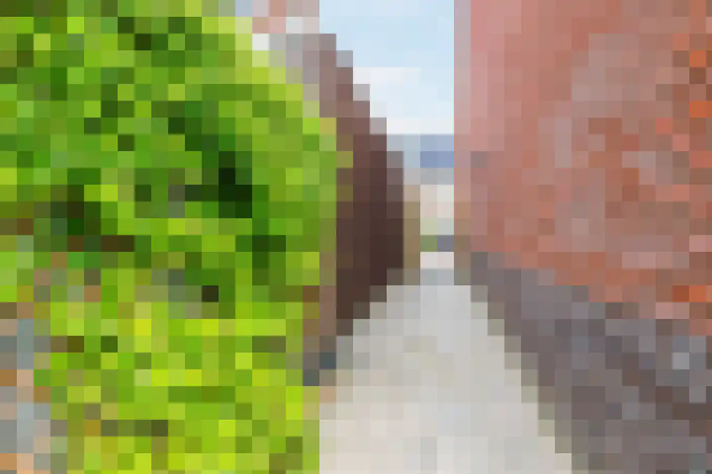 Sijsjespeer 18 Boskoop thumbnail 44