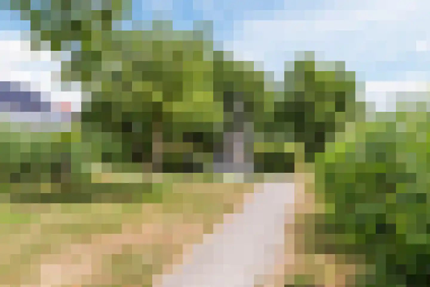 Sijsjespeer 18 Boskoop thumbnail 50