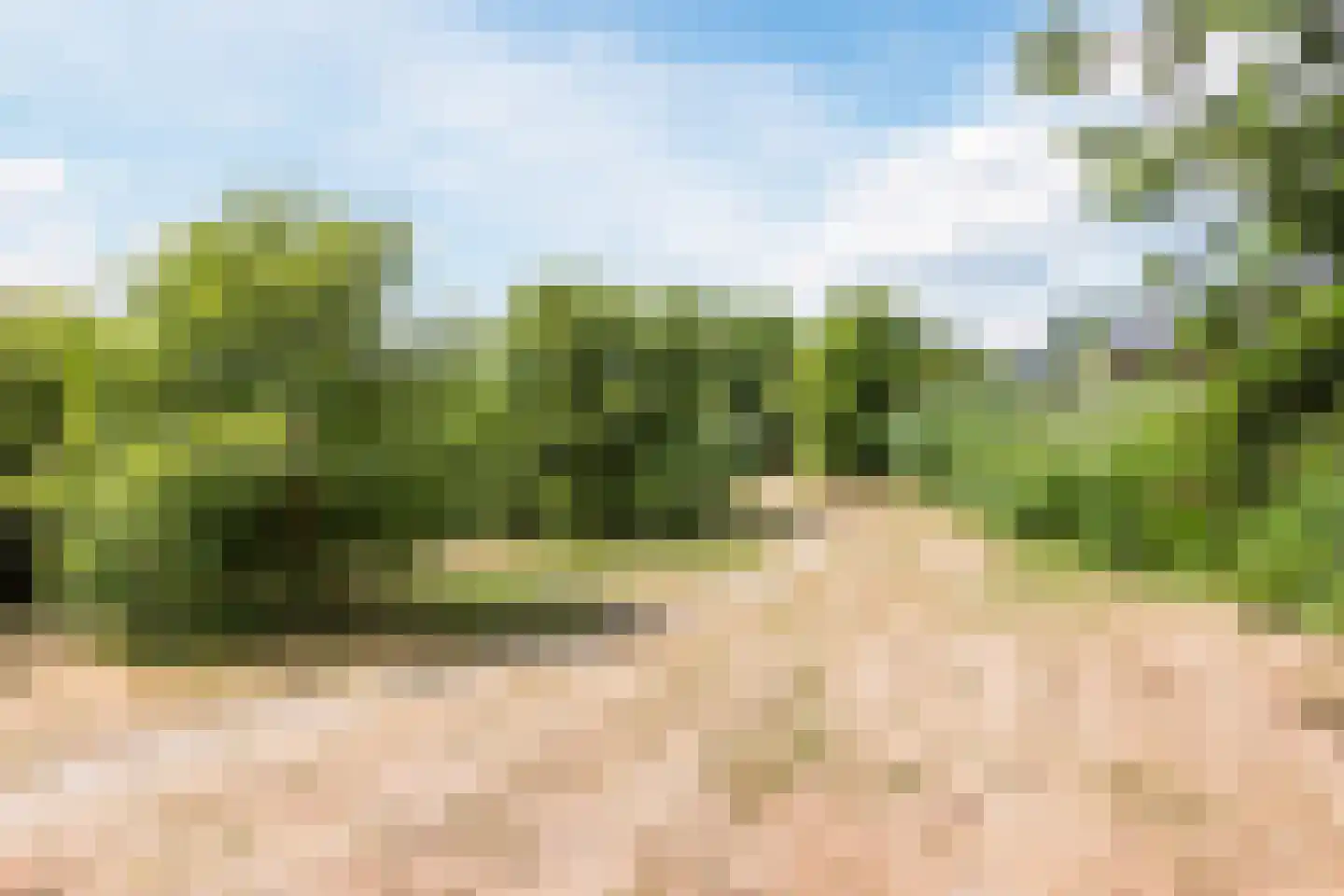 Sijsjespeer 18 Boskoop thumbnail 51