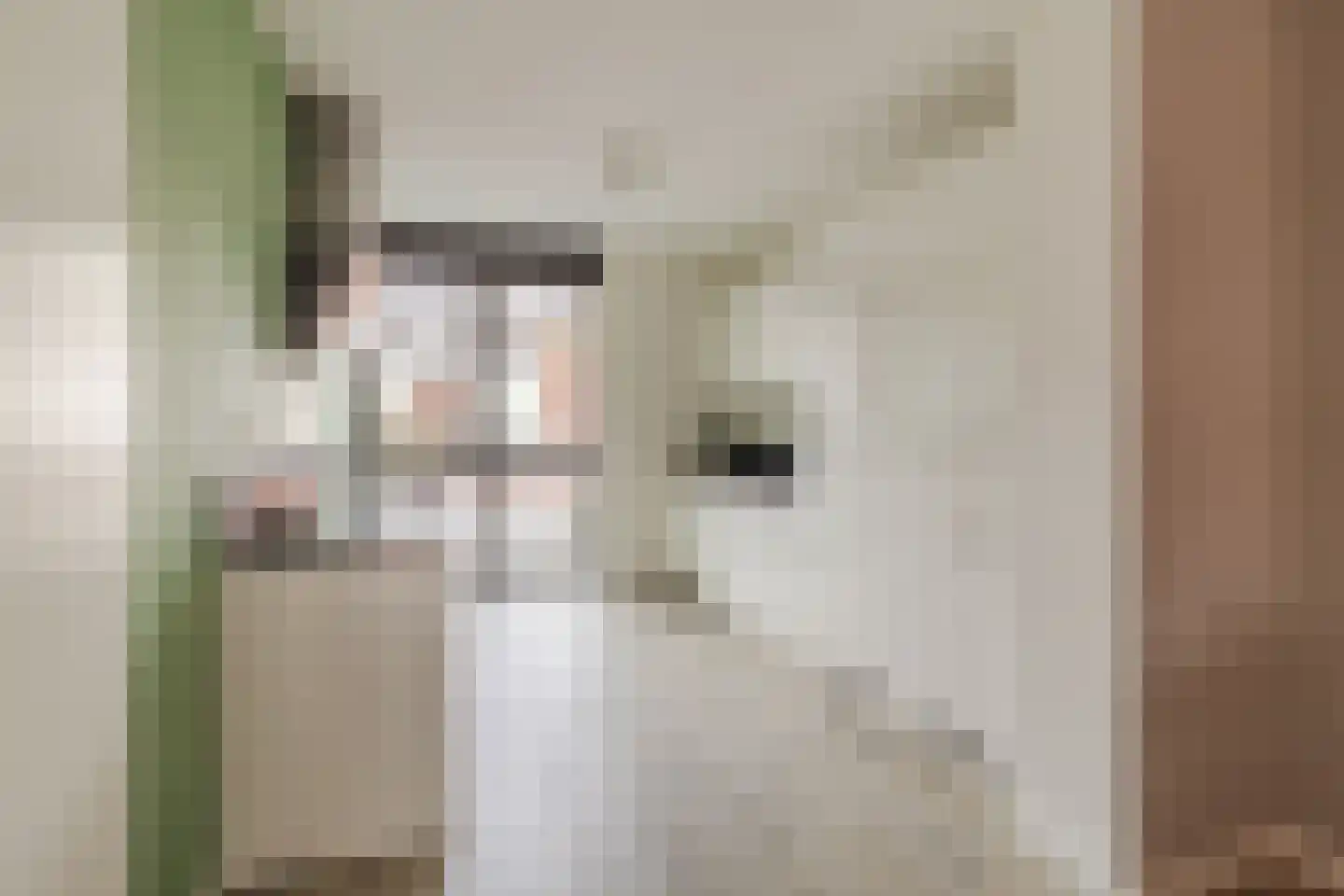 Sijsjespeer 32 Boskoop thumbnail 19