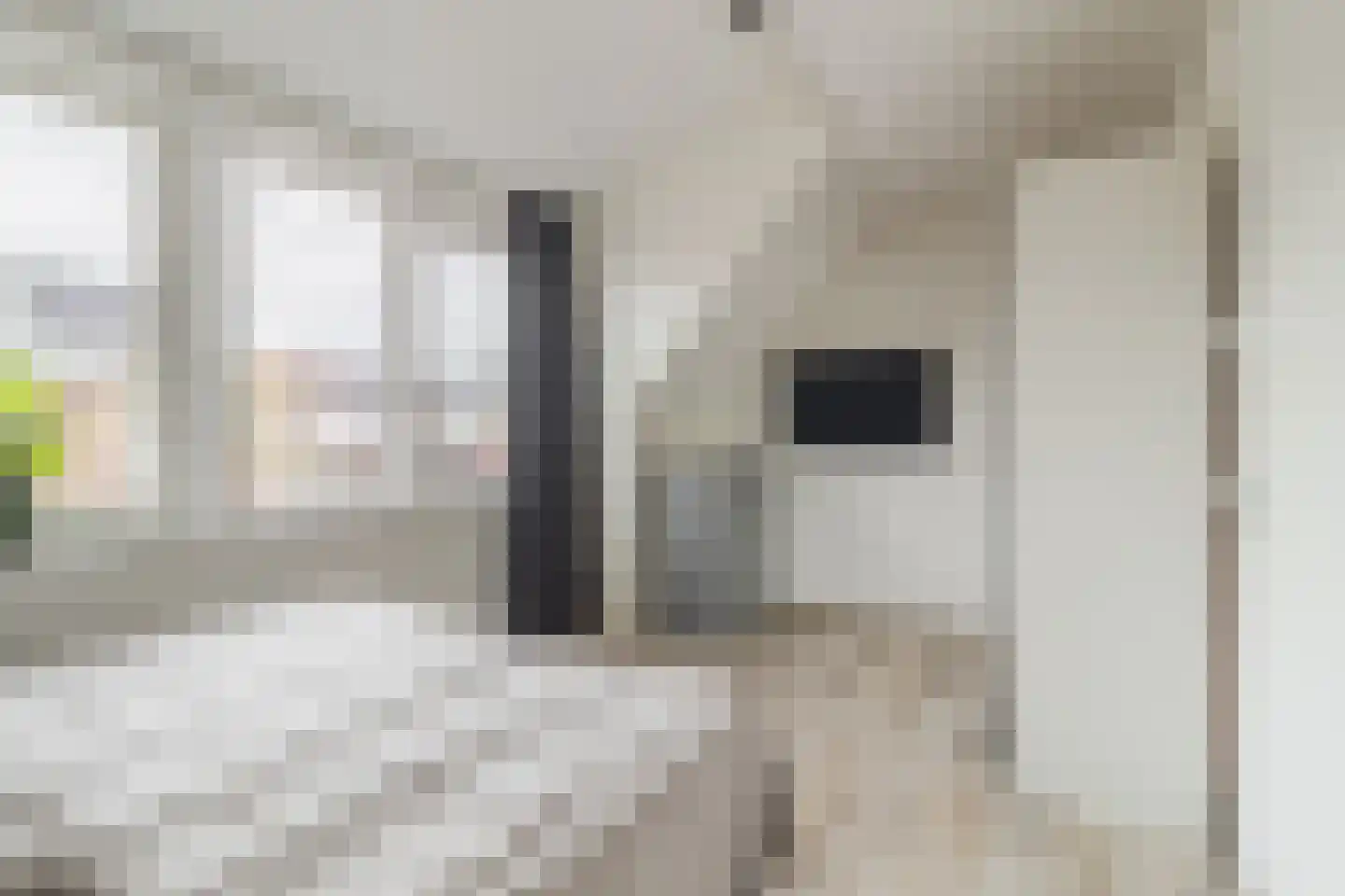 Sijsjespeer 32 Boskoop thumbnail 26