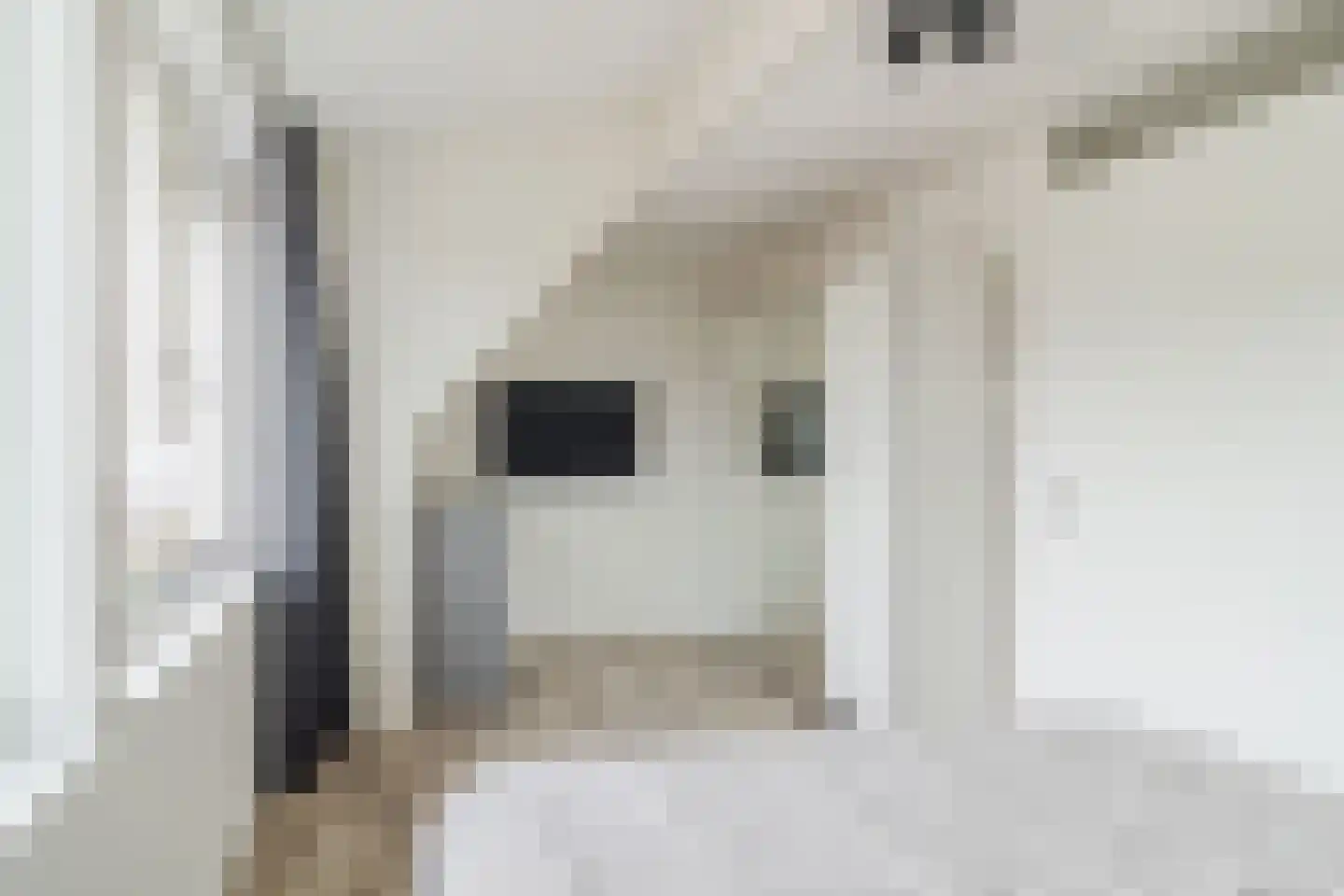 Sijsjespeer 32 Boskoop thumbnail 27