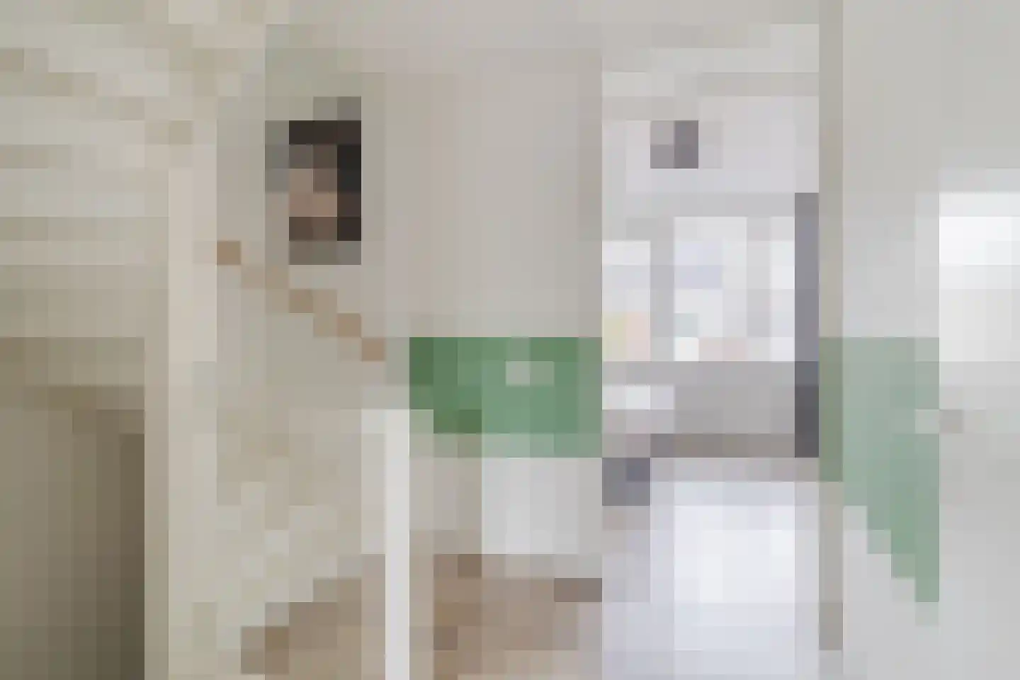 Sijsjespeer 32 Boskoop thumbnail 36