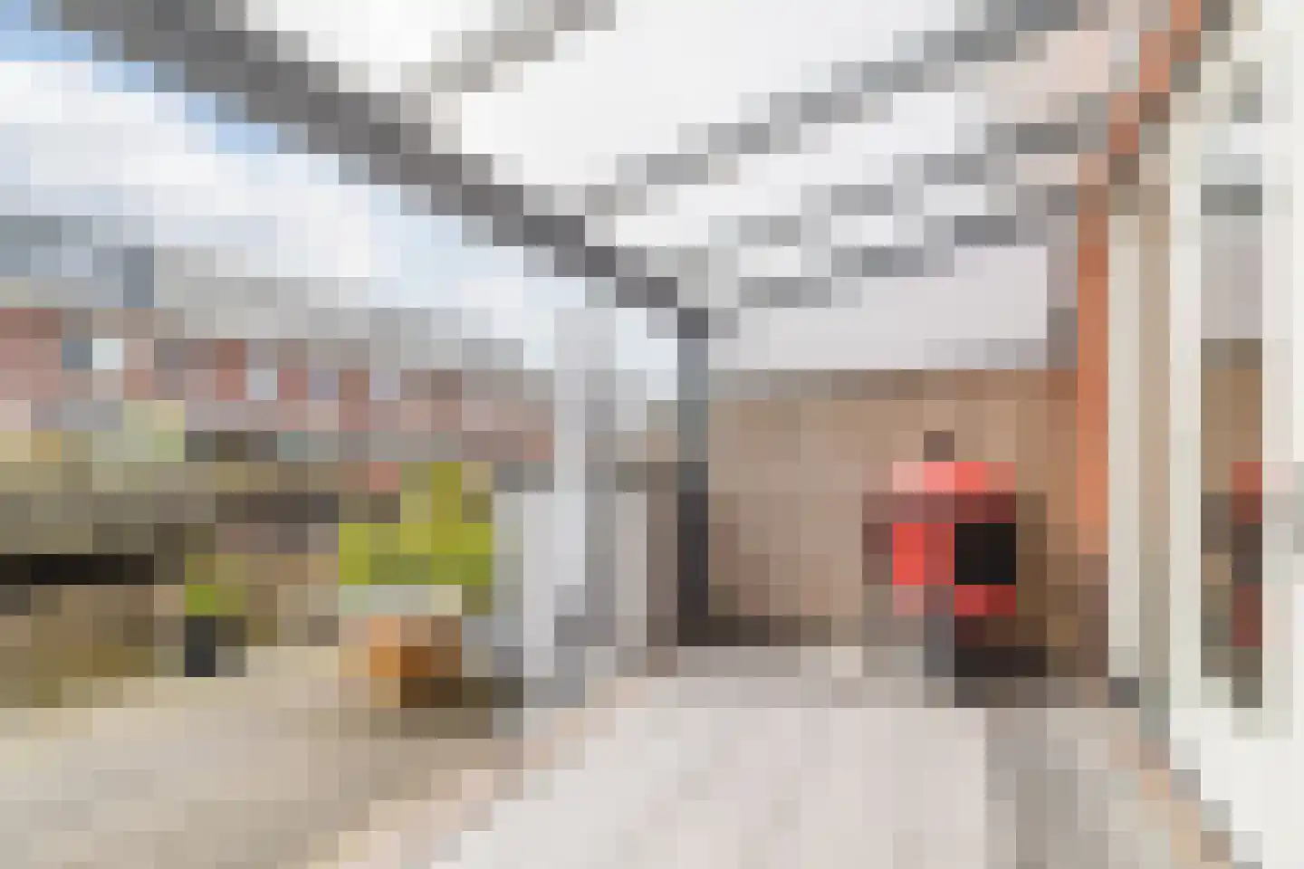Sijsjespeer 32 Boskoop thumbnail 40