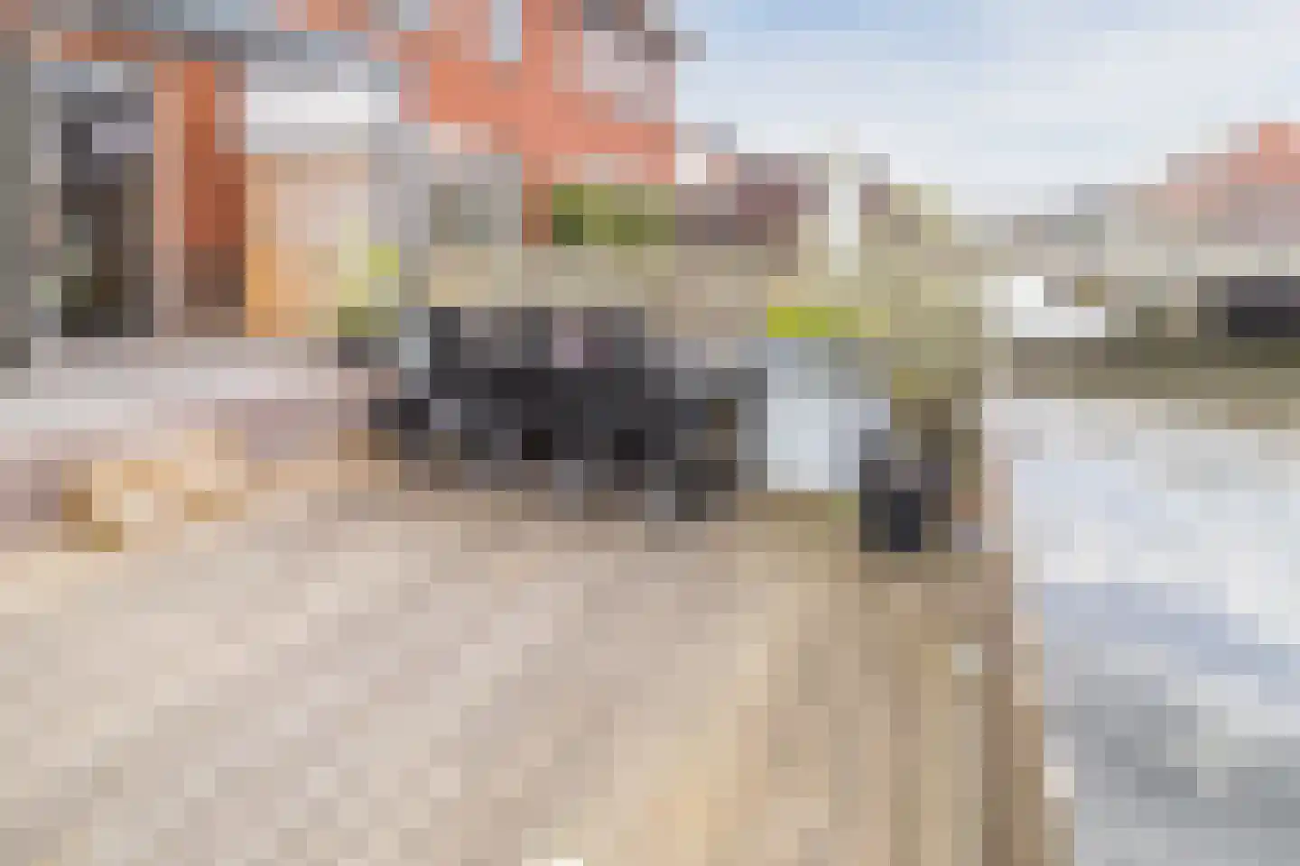 Sijsjespeer 32 Boskoop thumbnail 43