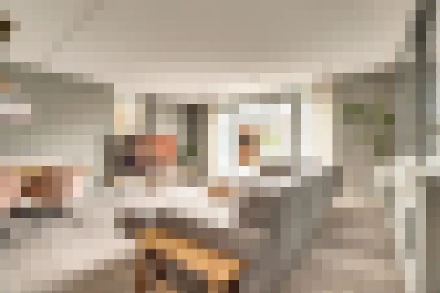Sijsjespeer 36 Boskoop thumbnail 11