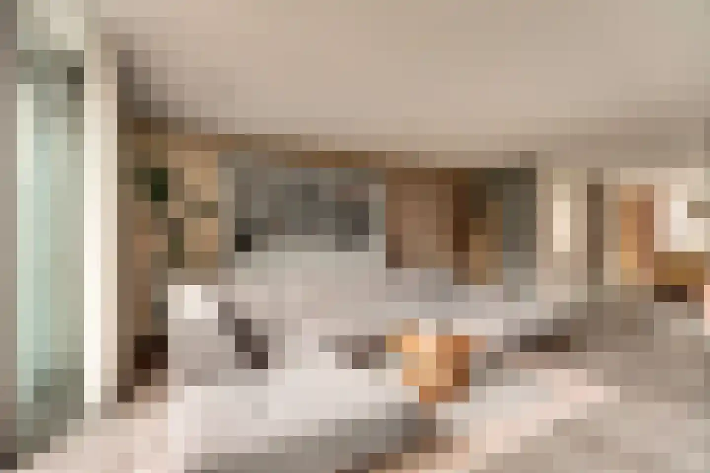 Sijsjespeer 36 Boskoop thumbnail 12