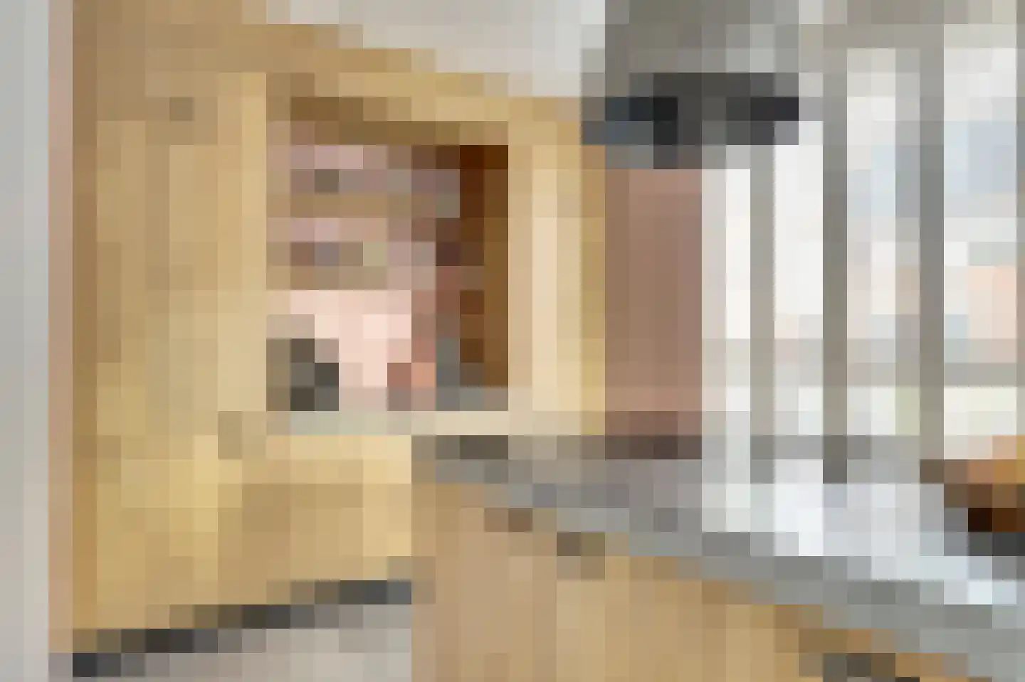 Sijsjespeer 36 Boskoop thumbnail 18