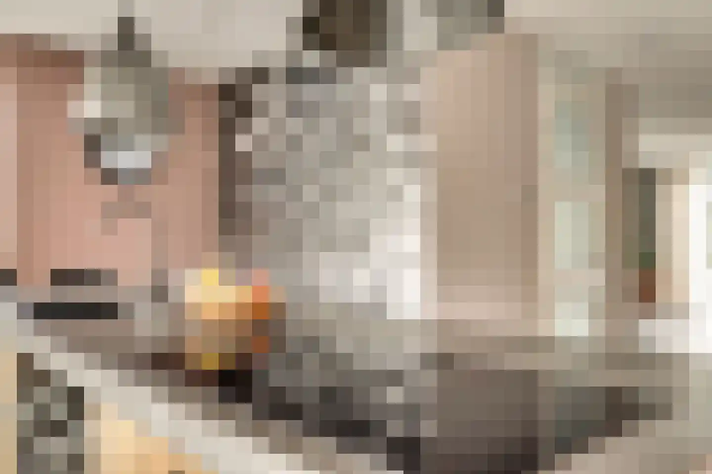 Sijsjespeer 36 Boskoop thumbnail 21