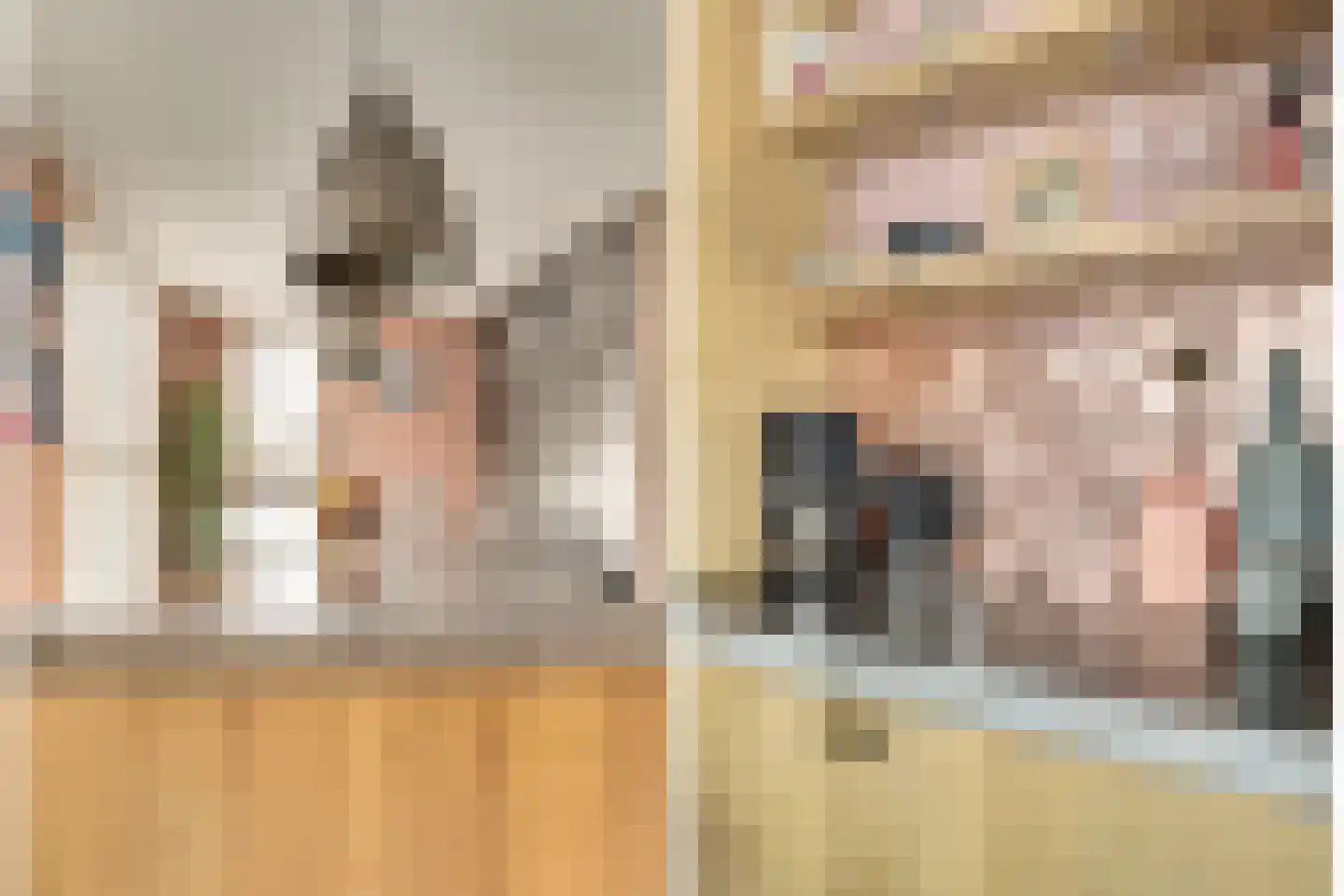 Sijsjespeer 36 Boskoop thumbnail 22