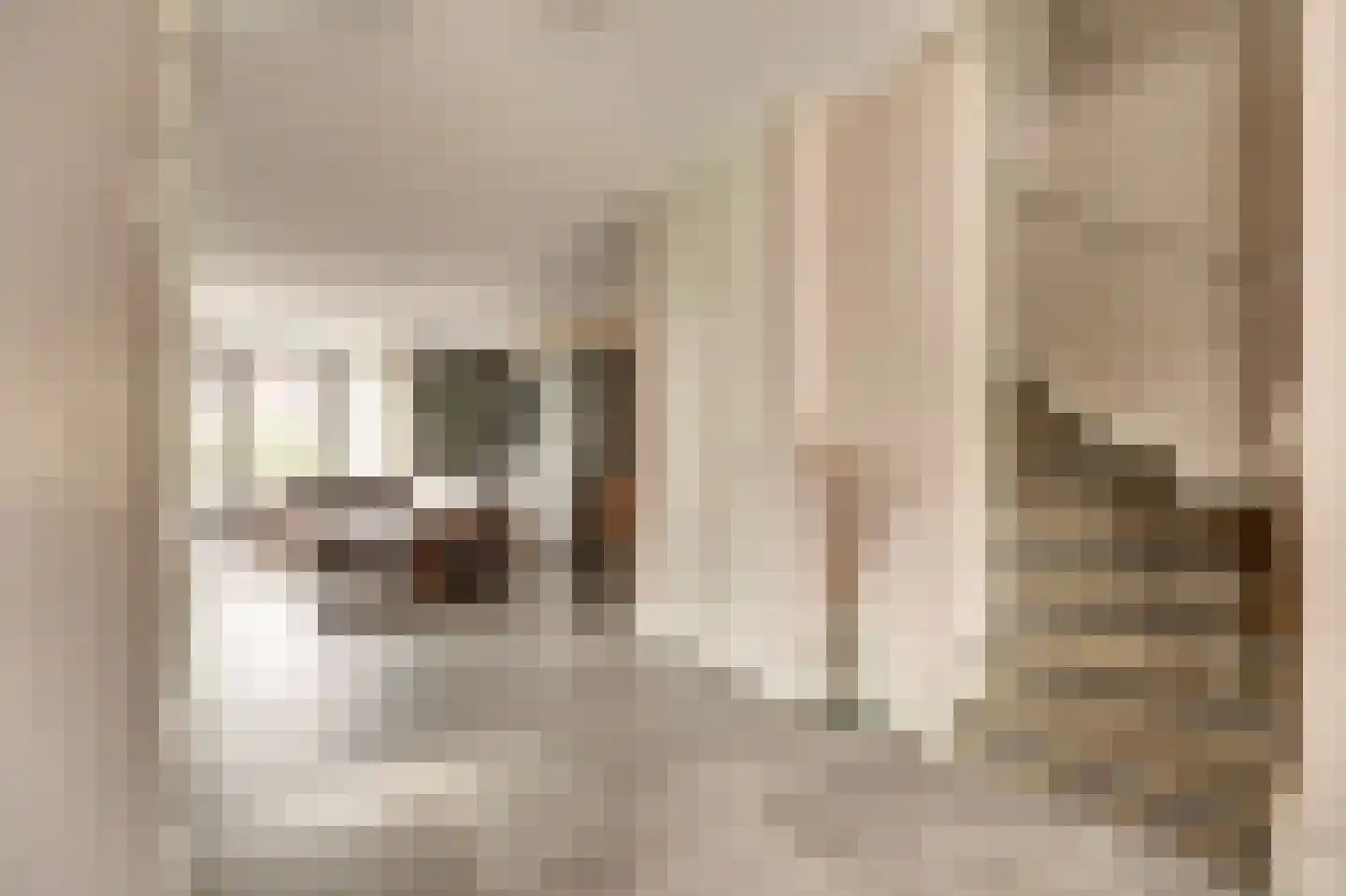 Sijsjespeer 36 Boskoop thumbnail 23