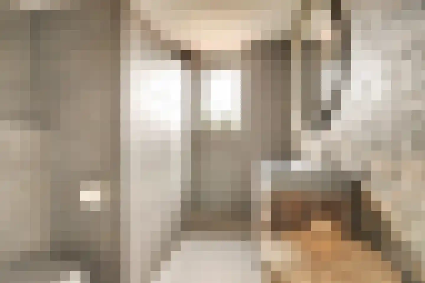 Sijsjespeer 36 Boskoop thumbnail 31