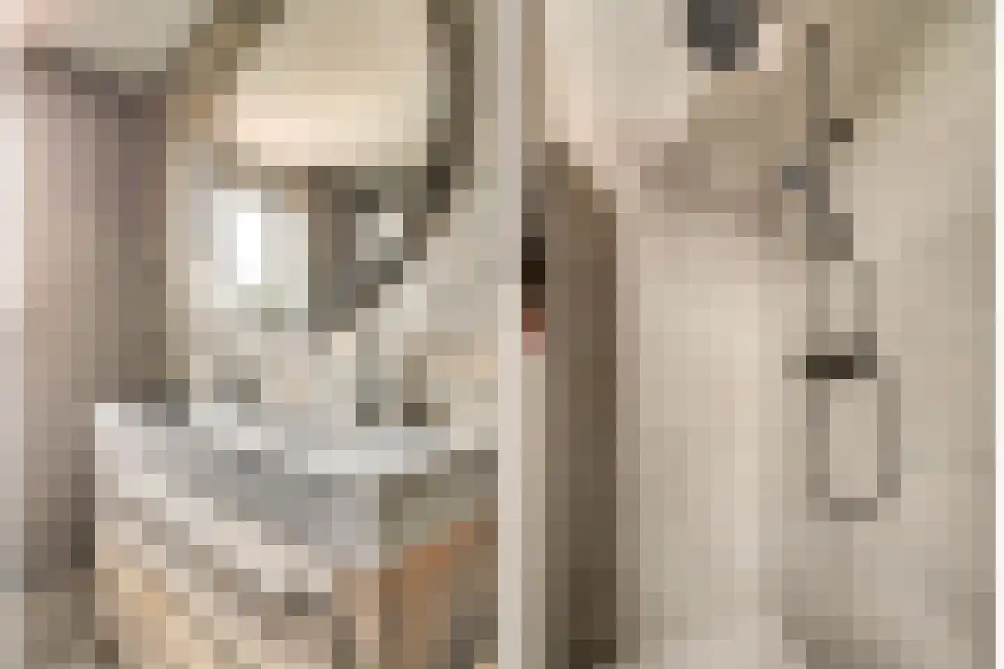 Sijsjespeer 36 Boskoop thumbnail 32