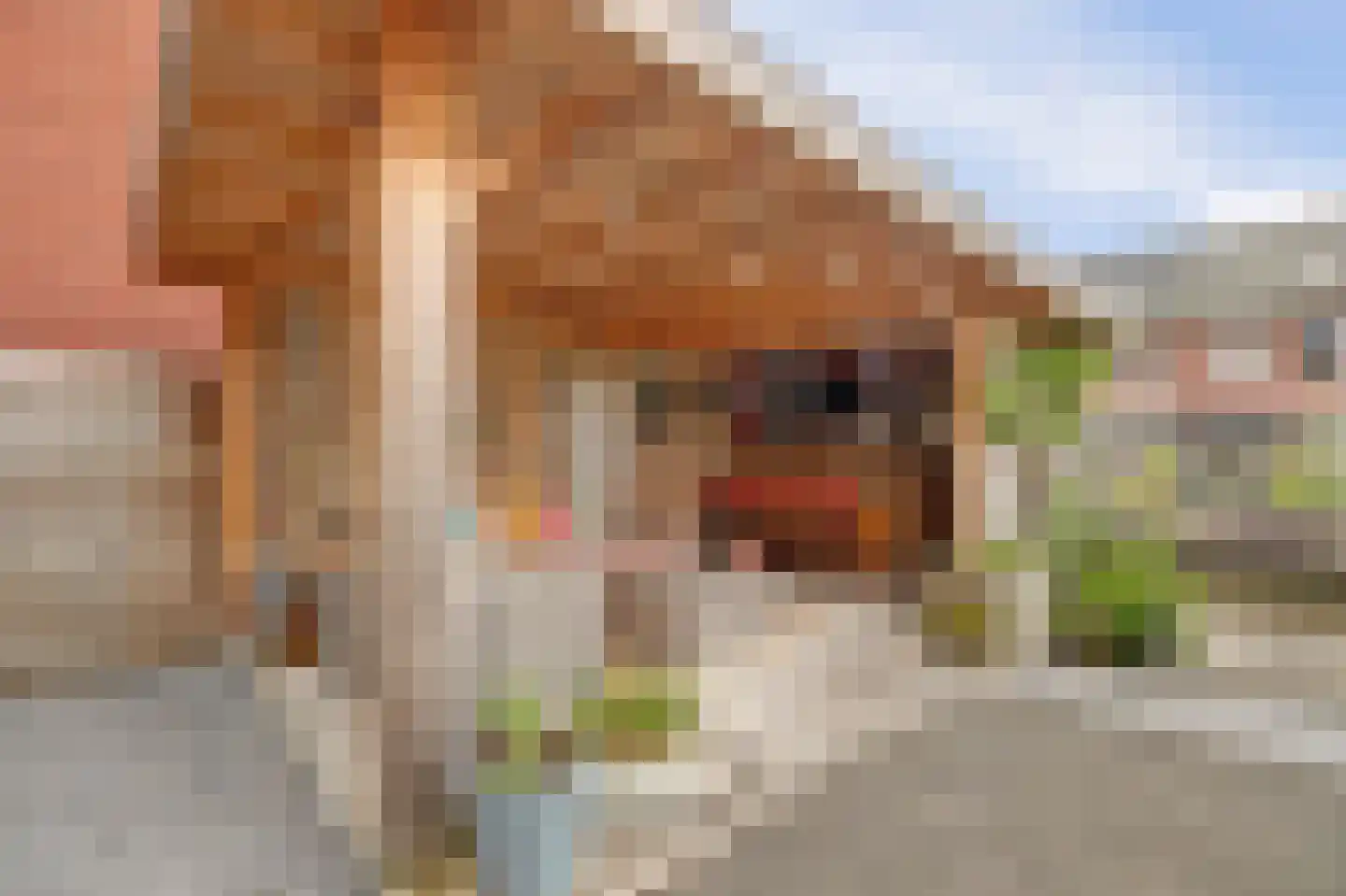 Sijsjespeer 36 Boskoop thumbnail 40