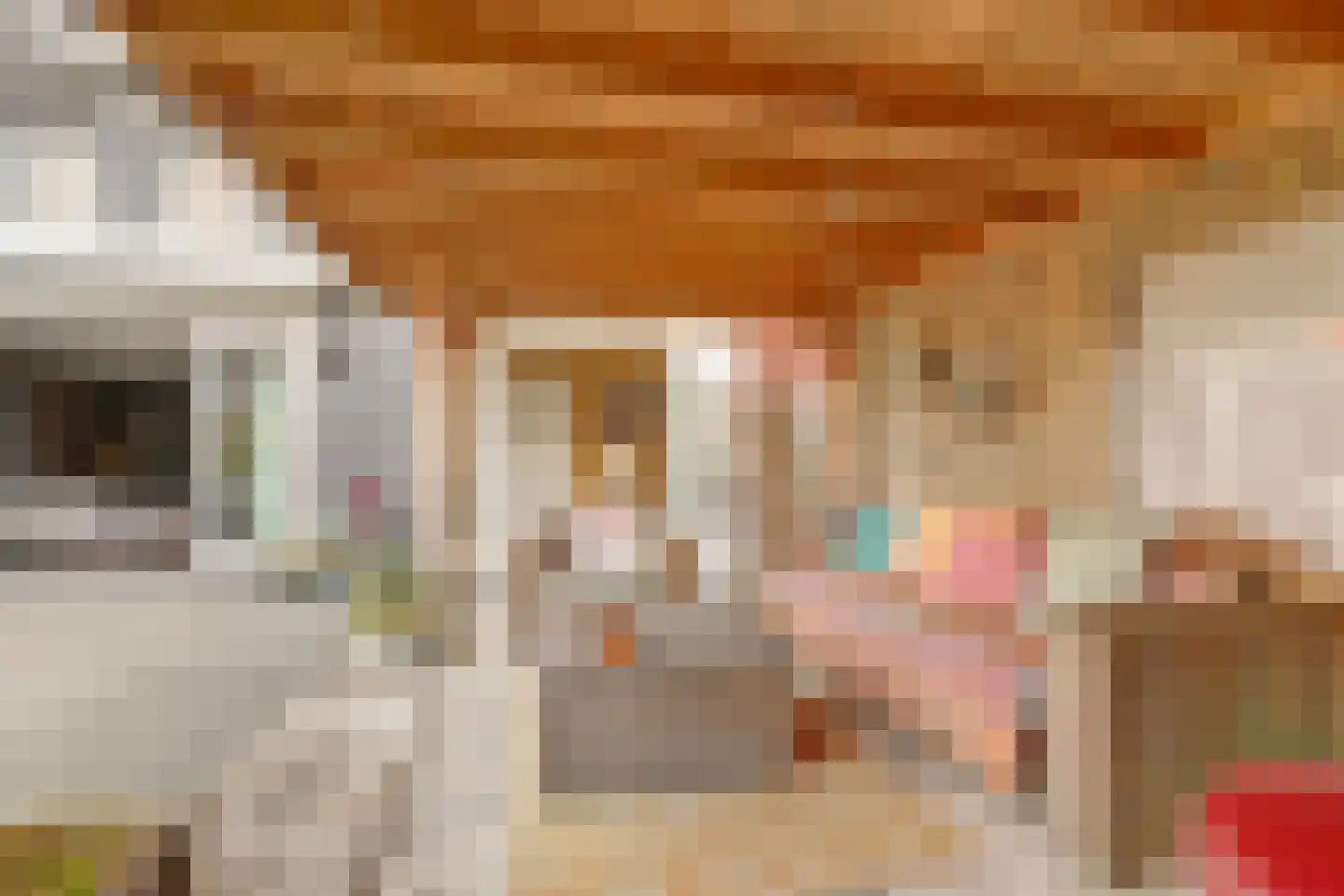 Sijsjespeer 36 Boskoop thumbnail 43