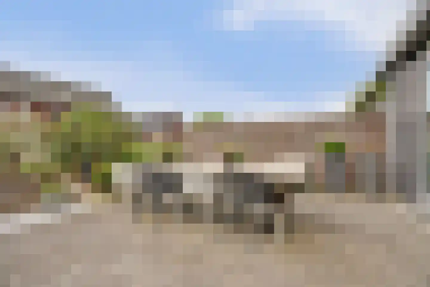 Sijsjespeer 36 Boskoop thumbnail 44