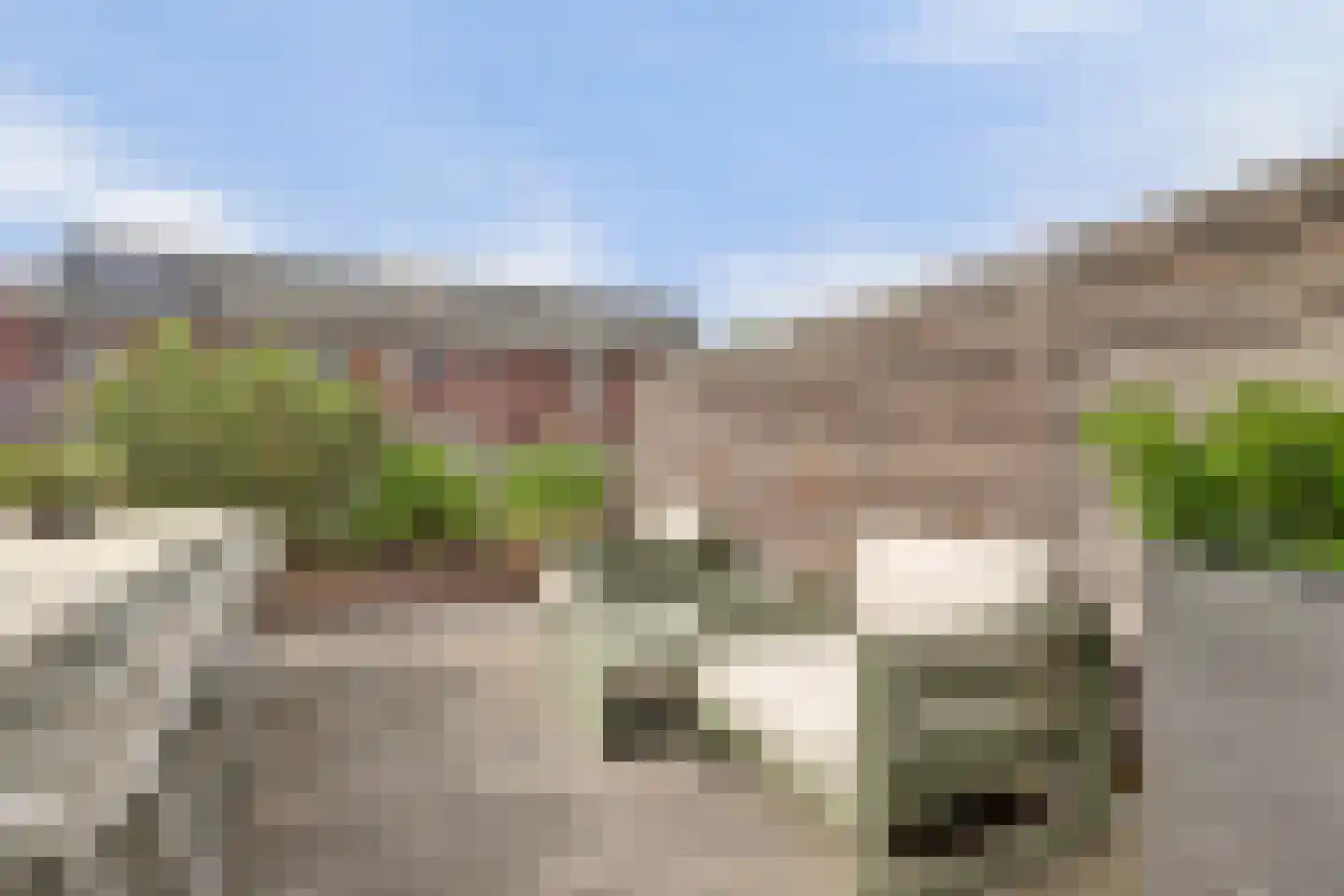 Sijsjespeer 36 Boskoop thumbnail 45