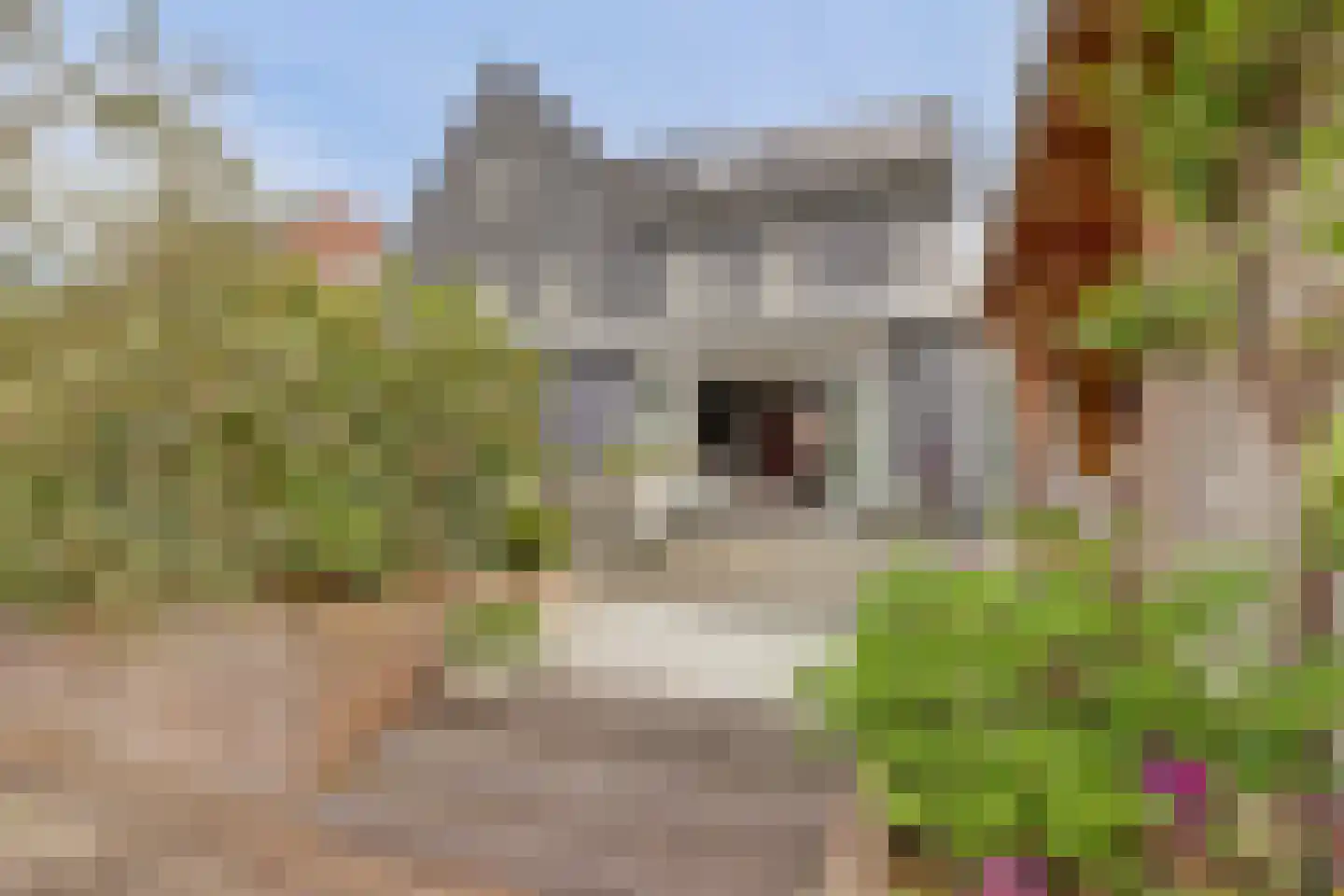 Sijsjespeer 36 Boskoop thumbnail 49