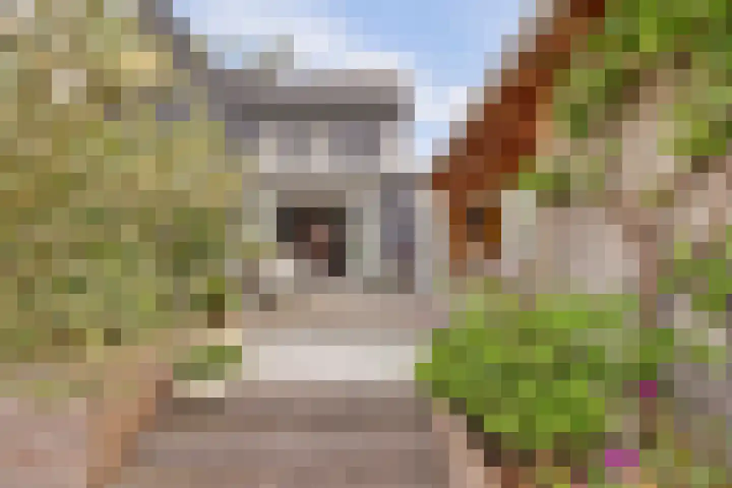 Sijsjespeer 36 Boskoop thumbnail 50