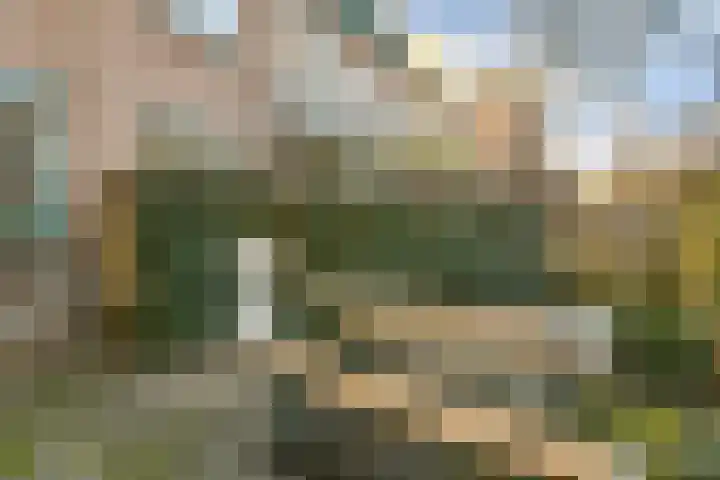 Sijsjesstraat 26 Amsterdam thumbnail 12