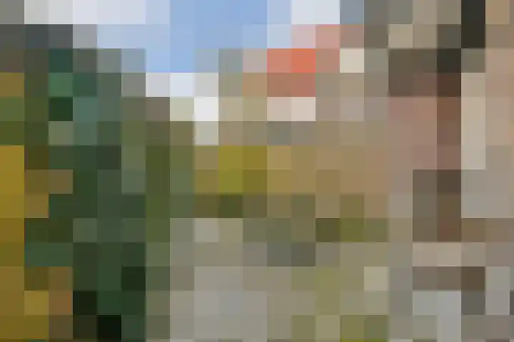 Sijsjesstraat 26 Amsterdam thumbnail 13