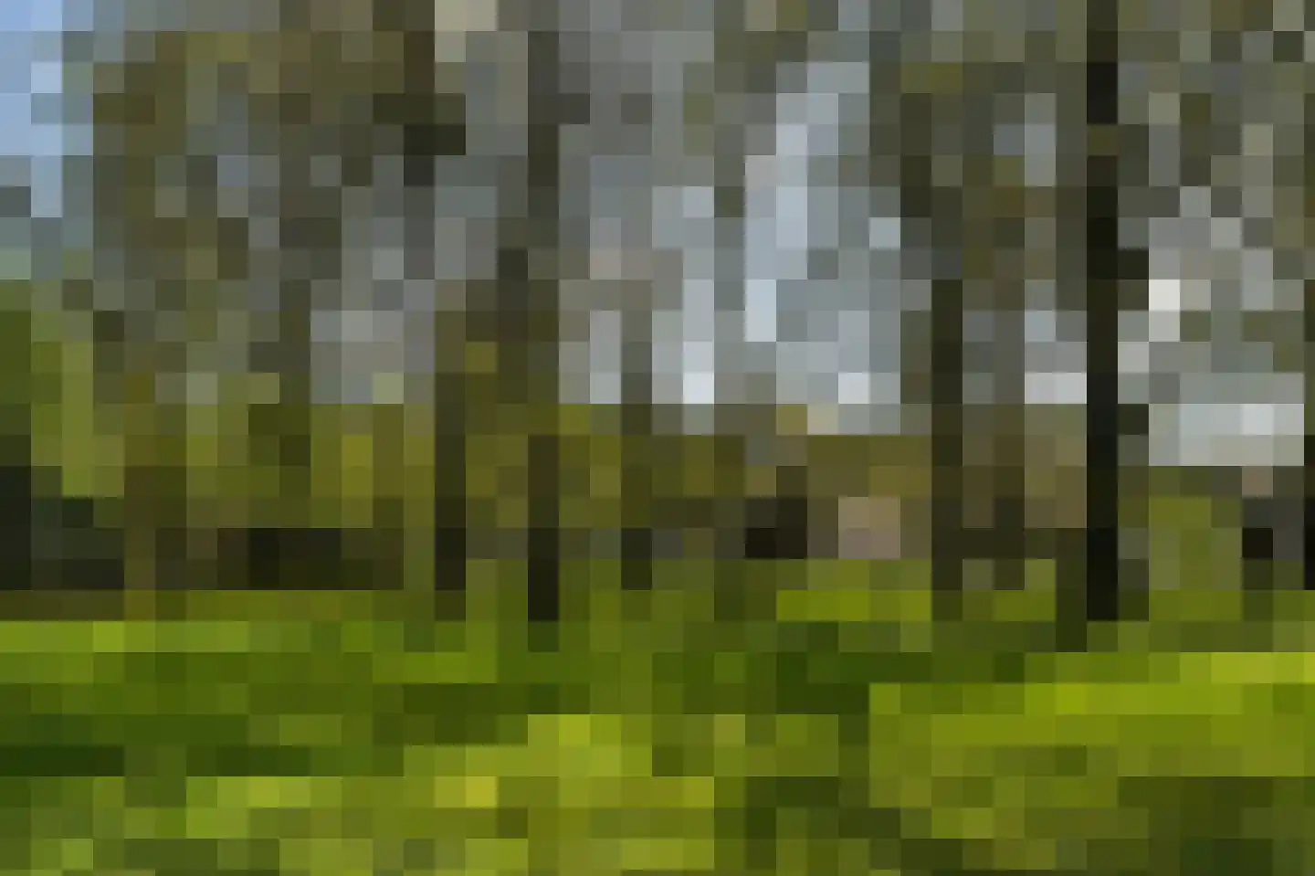 Sijtjespad 1 Huizen thumbnail 11