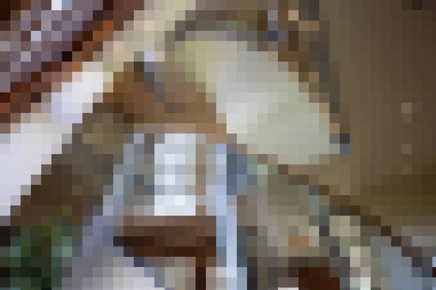 Sijtjespad 1 Huizen thumbnail 14