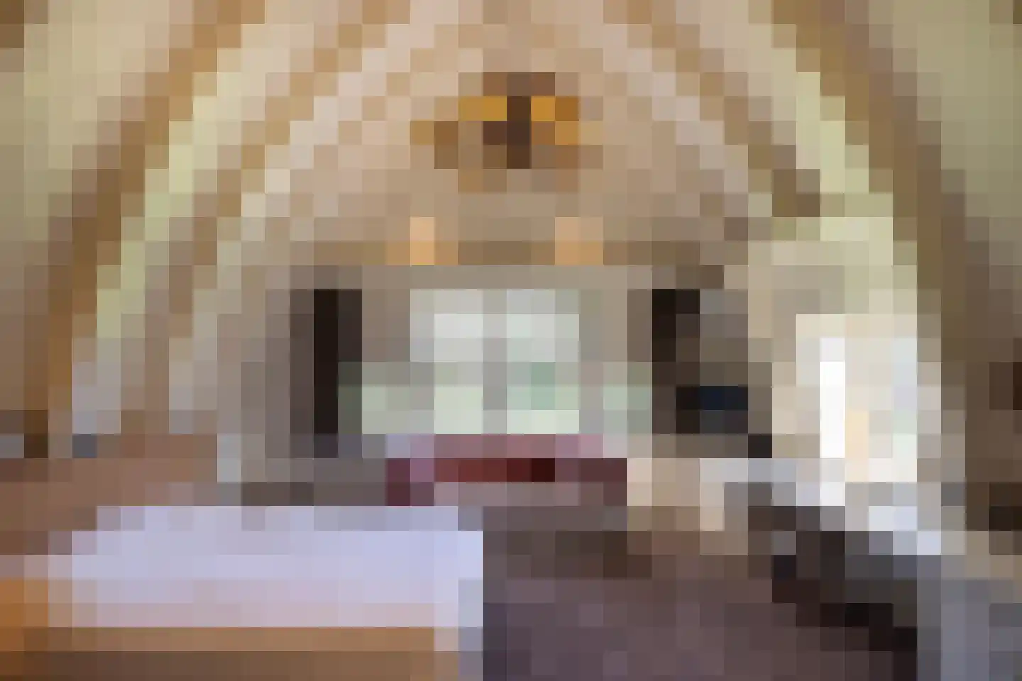 Sijtjespad 1 Huizen thumbnail 19