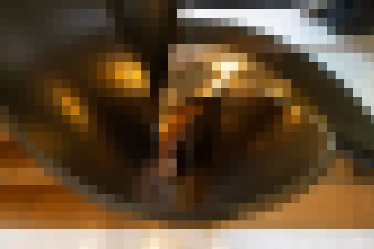 Sijtjespad 1 Huizen thumbnail 20