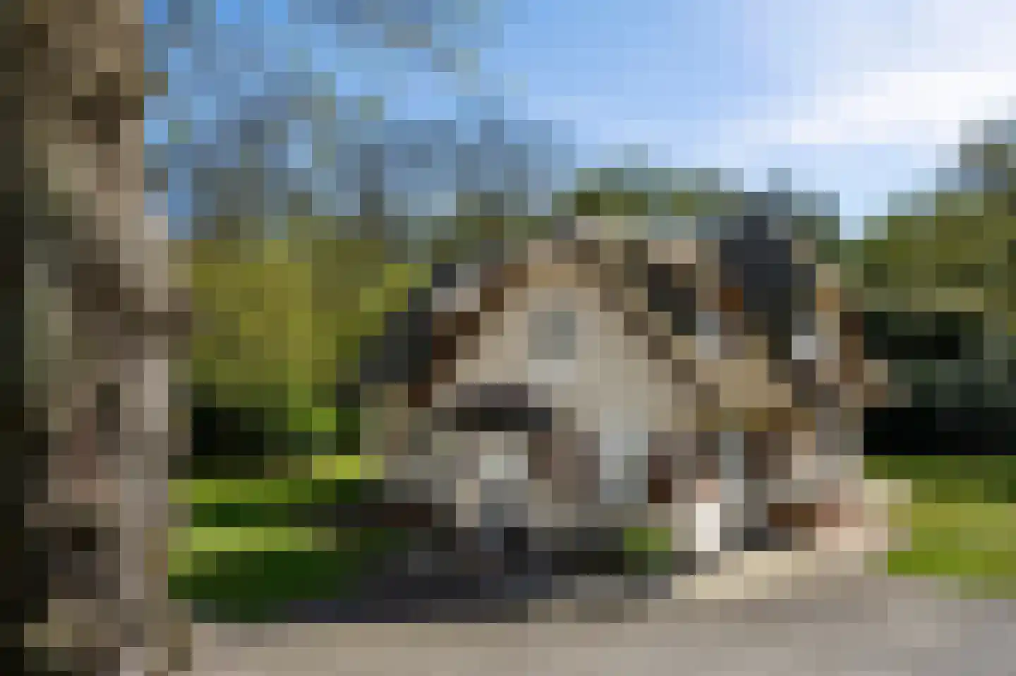 Sijtjespad 1 Huizen thumbnail 28