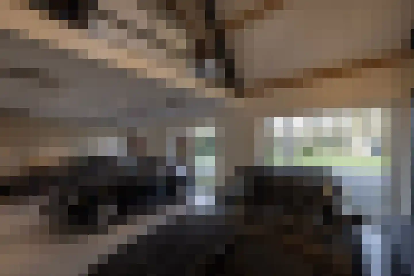 Sijtjespad 1 Huizen thumbnail 33