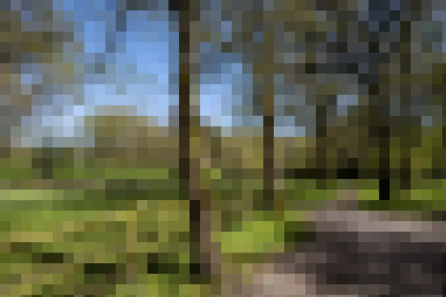 Sijtjespad 1 Huizen thumbnail 38