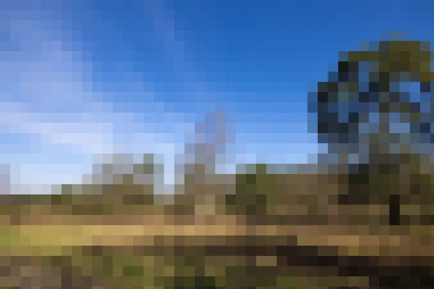 Sijtjespad 1 Huizen thumbnail 39