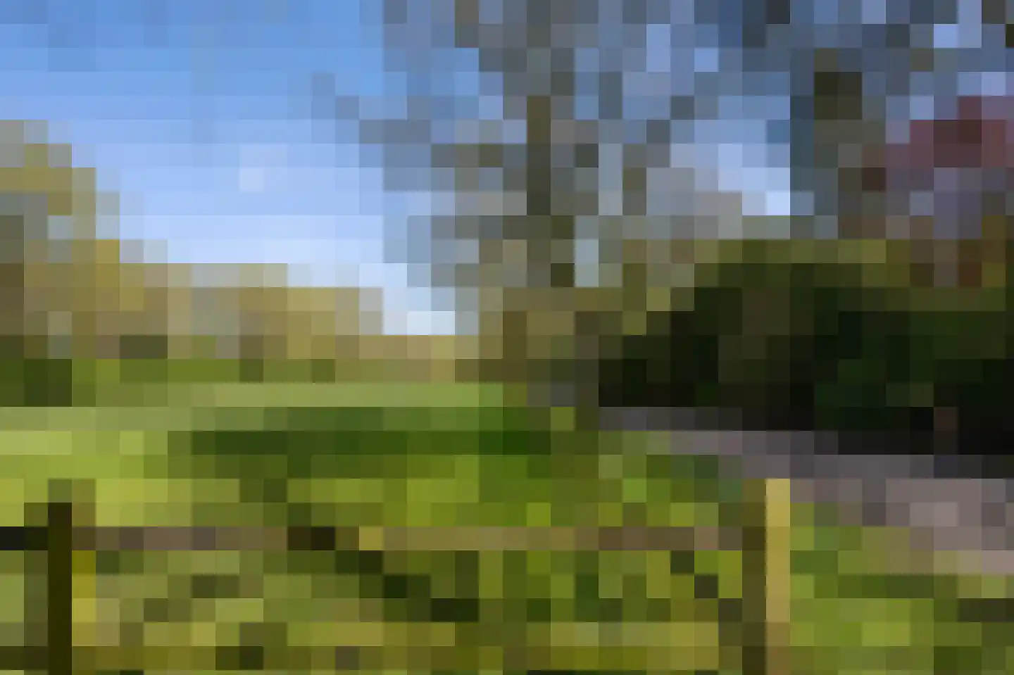 Sijtjespad 1 Huizen thumbnail 4