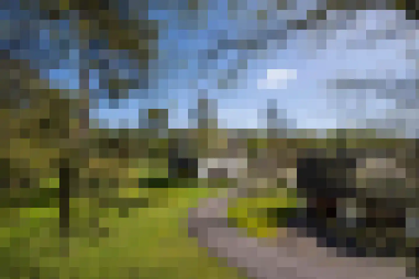 Sijtjespad 1 Huizen thumbnail 5
