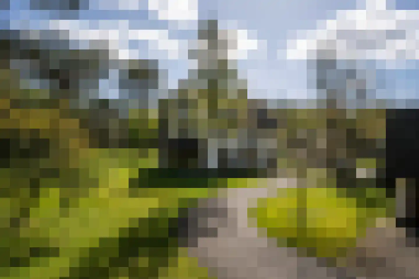 Sijtjespad 1 Huizen thumbnail 6