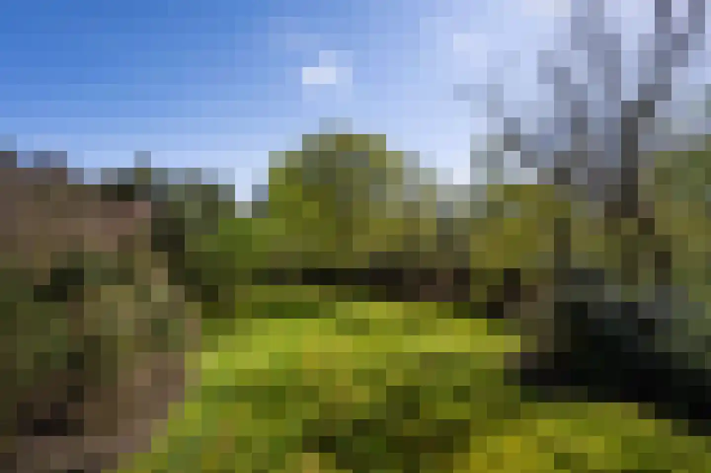 Sijtjespad 1 Huizen thumbnail 7