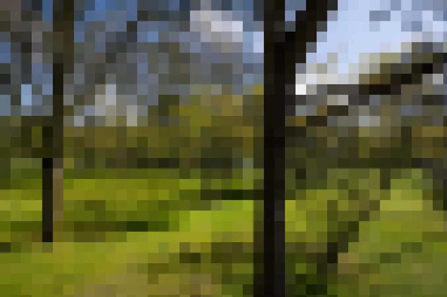 Sijtjespad 1 Huizen thumbnail 9